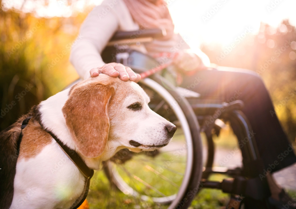 Natürlich auch für Haustiere bestens geeignet