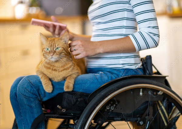 Passend Für Rollstühle